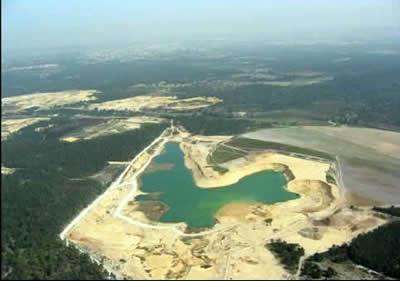 Mata De Sesimbra