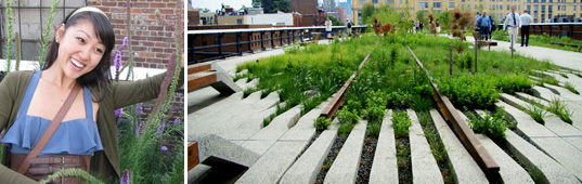 sustainable design, green design, inhabitat 2009 editors picks, favorite sustainable design stories, yuka yoneda