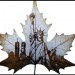 eco-art, leaves, sustainable art, recycled leaves, engraved leaves, carved leaves