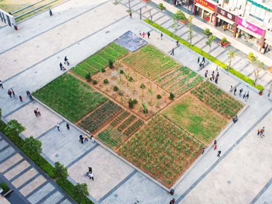 Landgrab City in Shenzen sustainable design, green design, shenzhen, urban farm, hong kong, bi-city biennale of urbanism/architecture, landgrab city