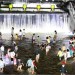 Seouls Cheonggyecheon River