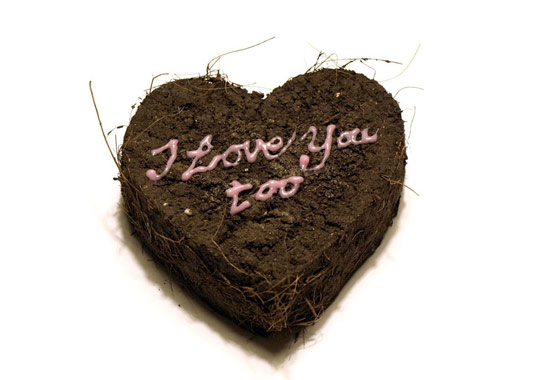 Luvmud by super-interesting! luvmud, heart shaped seed bomb, seed bomb, valentine's day, eco friendly valentine's day, green valentine gifts