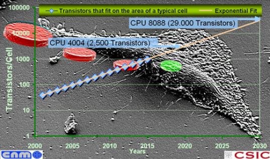 silicon chips in cells, nanomaterials, silicon computer chips, instituto de microelectronica de barcelona, nanoparticles, silicon chips in human cells, intracellular sensors, design for health