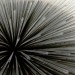 UK Pavilion by Thomas Heatherwick