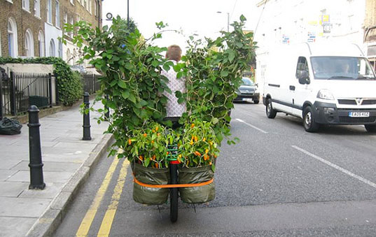 Metabolicity, london design week, design research project, urban agriculture, urban farming, urban gardening, urban food