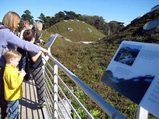 sustainable design, green design, green roof, green building, sustainable architecture, urban heat island effect, california academy of sciences