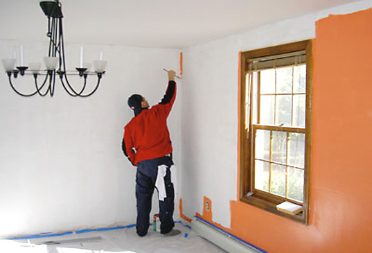 AFM Safecoat: The safest ‘eco paint’ around, AFM Safecoat paint, Safe coat paint, doctor recommended paint, healthy paint, eco paint, green paint, low VOC paint, no VOC paint, no fume paint