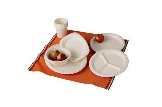biodegradable party kit, biodegradable plates, biodegradable cups, biodegradable utensils, recycled napkins, eco-friendly party, green party, 4th of july, independence day, bagasse, potato starch utensils