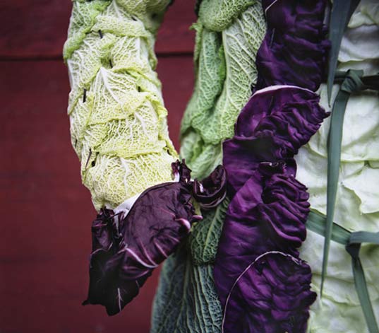 weedrobes, nicole dextras, clothing made from leaves, green fashion, sustainable fashion, green clothes, flower fashion, fashion trends
