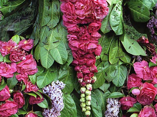weedrobes, nicole dextras, clothing made from leaves, green fashion, sustainable fashion, green clothes, flower fashion, fashion trends