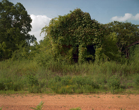 After Nature The New Museum, After Nature exhibition, After Nature show, After Nature contemporary art, After Nature environmental art, After Nature Werner Herzog, After Nature Massimiliano Gioni, eco-art NYC, environmental art NYC, documentary film the Gulf War, Werner Herzog Lessons of Darkness