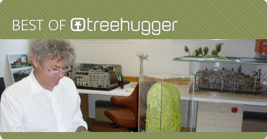 sustainable design, green architecture, green building, living walls, green facade, botany