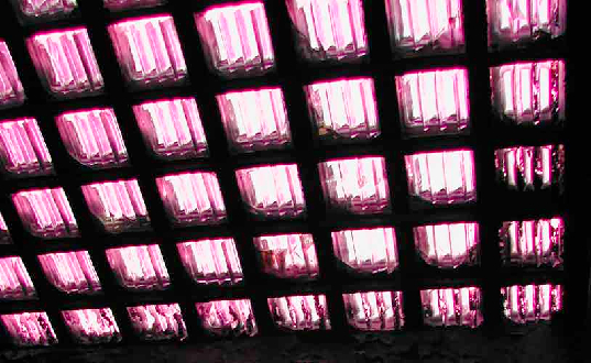glass ceiling green design image