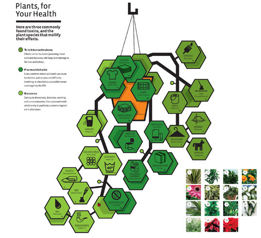 Plants for indoor air quality, EPA dangers of VOCs, volatile organic chemicals in the home, plants VOCs, plants for indoor health, indoor plants cleaner air, goodplants1.jpg