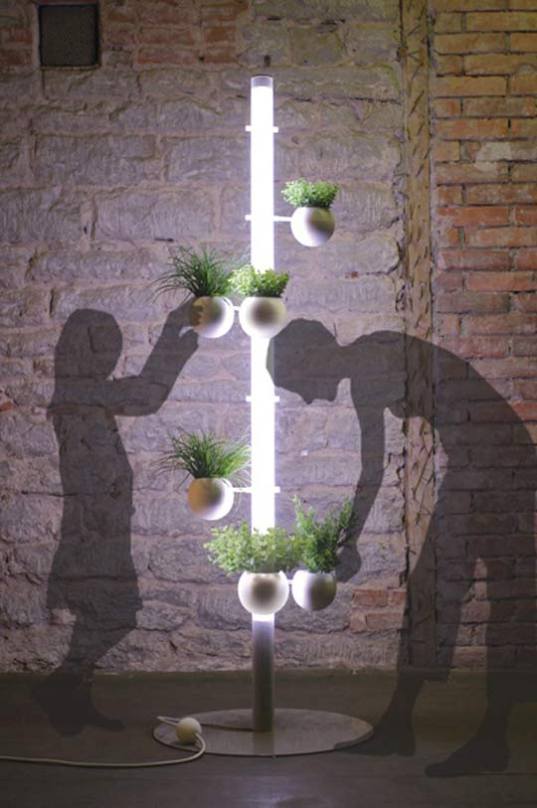 indoor, plants, light