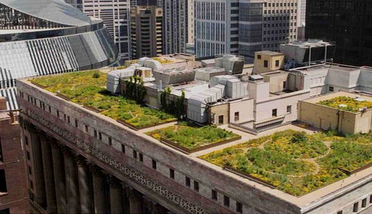 greenroofs11 greenroofs11