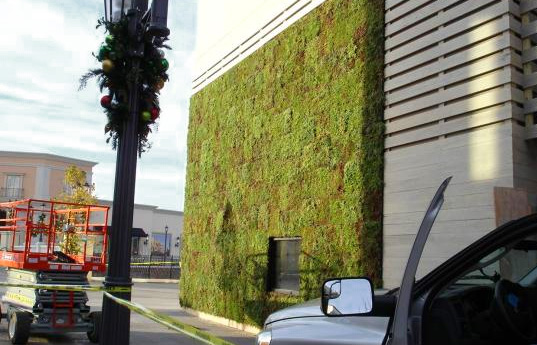 Green Walls, Living walls, green design, sustainable design, green living technologies, Green Living Wall systems