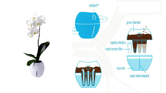 Grobal, self watering pot, hydroponics, Karim Rashid, green home gardening, tech plants, hi tech plants, self-watering planter, green design home accessory, interiors gardening, DIY horticulture, self-watering plant, home ecology, house plants, green your home