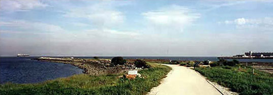 Heron’s Head Park, LEJ Living Classroom, Green building site