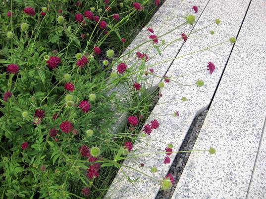 high line, sky park, new york city green space, urban park design, urban green space, urban oasis, chelsea high line, elevated park, trainyard park