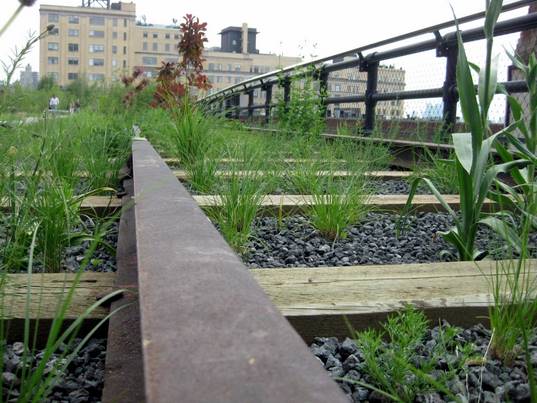 high line, sky park, new york city green space, urban park design, urban green space, urban oasis, chelsea high line, elevated park, trainyard park