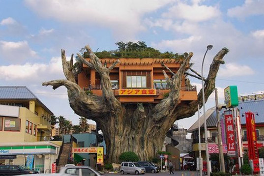 japanese treehouse restaurant, naha harbor diner, crazy treehouse resataurant, onoyama park, banyan town, banyan treehouse restaurant