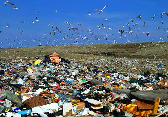 Wearable Collections, clothing, recycling, NYC, pick-up, operation, textile waste, landfills, garbage, sanitation, charity, landfillimage01.jpg