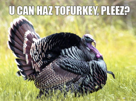LOL Tofurkey sustainable design, green design, inhabitat thanksgiving, top ten list of things to be thankful for, holiday, LOL Tofurkey