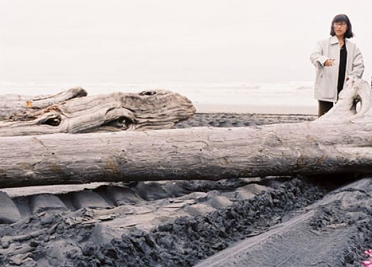 maya lin, unchopping a tree