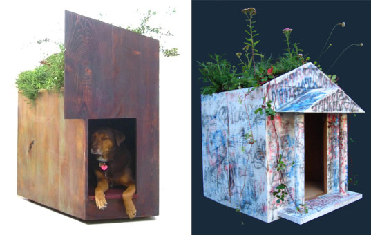 obama sustainable dog house, summa canum, green roof, dog house, low voc paints, obama puppy, green building, sustainable architecture