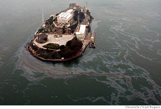CLEANING UP AN OIL SPILL WITH HAIR AND MUSHROOMS?, Cosco Busan Oil Spill in San Francisco Bay, Cleaning up oil with mushrooms and hair, Cleaning up oil with mushrooms and hair mats, organic cleaning of oil spill, oil spill clean up with hair and mushrooms, matter of trust, Lisa Gautier, Chronicle Story, Kurt Rogers Photography, photography by Kurt Rogers