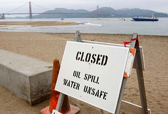 CLEANING UP AN OIL SPILL WITH HAIR AND MUSHROOMS?, Cosco Busan Oil Spill in San Francisco Bay, Cleaning up oil with mushrooms and hair, Cleaning up oil with mushrooms and hair mats, organic cleaning of oil spill, oil spill clean up with hair and mushrooms, matter of trust, Lisa Gautier, Chronicle Story, Michael Macor Photography, photography by Michael Macor
