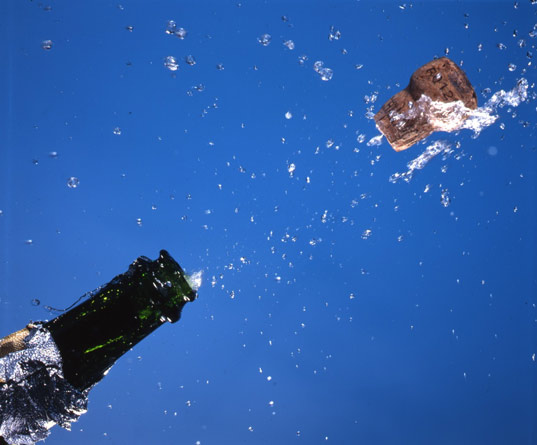 organic champagne, green vineyards, eco wine, eco champagne, biodynamic grapes, organic champagnes, organic valentine’s day