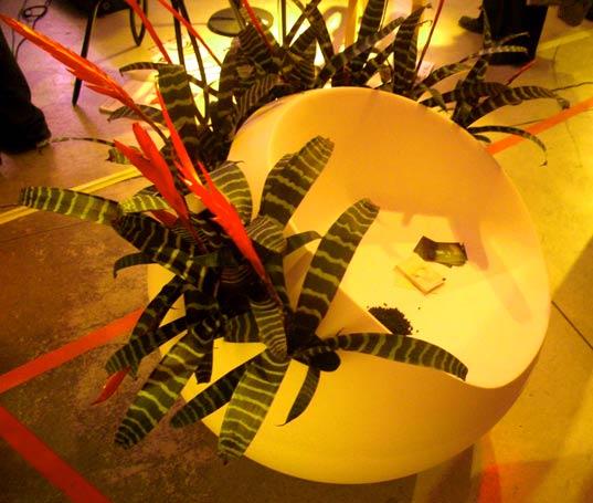 krejci, Dutch design Milan 2008, let’s grow some balls chair, Milan 2008, Tuttobene Milan 2008, Doreen Westphal, akg polymer, garden chair, biodegradable plastic, injectable wood, interactive furniture, sustainable furniture design, indoor gardening