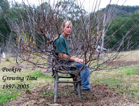 pooktre garden chair, living furniture, growing furniture