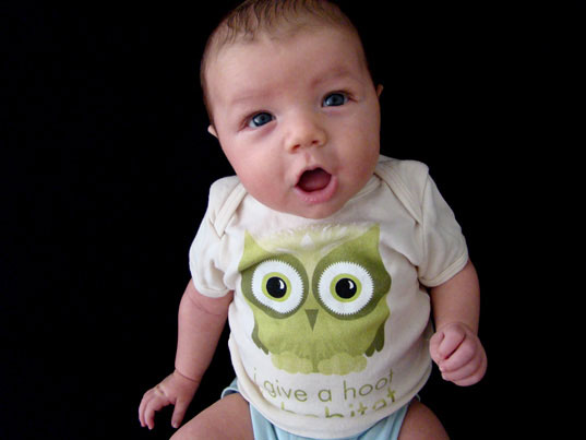 inhabitots t-shirt contest, inhabitots newsletter contest, organic cotton t-shirt, sustainable design, sustainable style, inhabitots owl t-shirt
