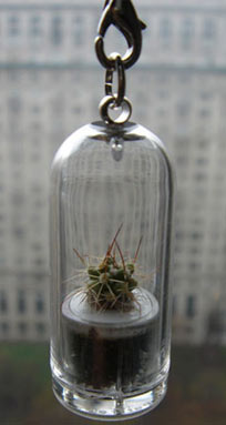 petplant