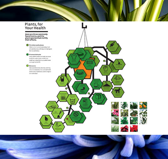 Plants for indoor air quality, EPA dangers of VOCs, volatile organic chemicals in the home, plants VOCs, plants for indoor health, indoor plants cleaner air