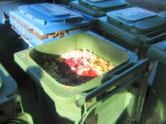 Mayor Newsom, Gavin Newsom, San Francisco, Composting Mandate, Recycling Mandate, Legislation, composting, recycling