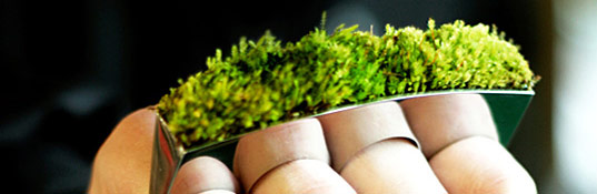 icelandic moss rings, green jewelry, plant jewelry, moss jewelry, inhabitat sustainable style, sustainable style top ten 2008