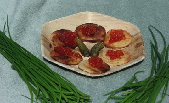 VerTerra, Disposable Dishware Made From Fallen Leaves, Michael Dwork, Compostable and Biodegradable Dishware, Organic Palm Leaves from India, Palm tree leave dishware, recycled materials, natural materials, composting dishware, eco-friendly dishware, disposable dishes, biodegradable plates, biodegradable dishes, VerTerra palm leaf dishware
