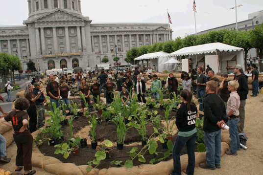 amy franceschini, carnival, democratic national convention, DNC, republican national convention, RNC, san francisco city hall, sustainable living roadshow, victory gardens