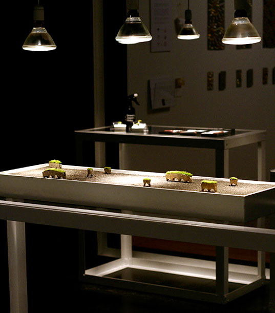 Growing Jewelry, Hafsteinn Juliusson Growing Jewelry, green jewelry, eco accessories, green product design, Icelandic product design, Reykjavik Art Museum, sustainable style growing jewelry, alternative jewelry design, green design iceland, eco-friendly jewelry, micro gardening, eco design jewelry
