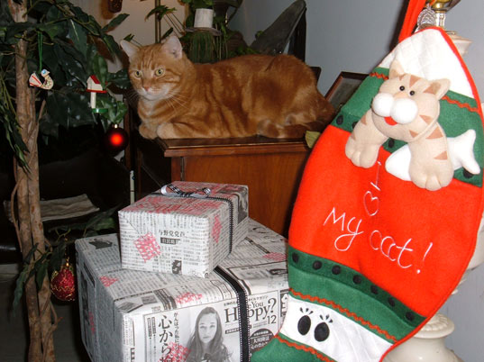 sustainable design, green design, happy holidays from inhabitat, inhabitat team, christmas 2009, holiday 2009, yuka and conan