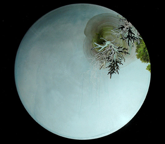 tickling thicket, yvette molina, johansson projects, environmental art, environmental art san francisco, environmental art seattle